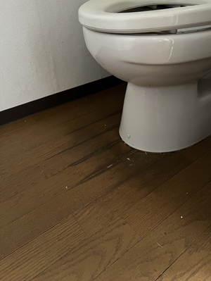 ノリアホーム トイレリフォーム