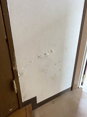 ノリアホーム 壁クロス リフォーム