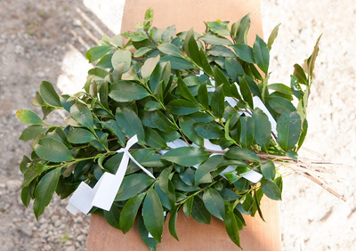 ノリアホーム 地鎮祭