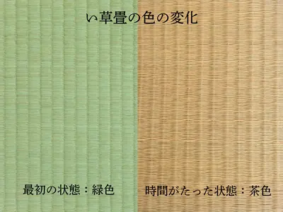 ノリアホーム　畳の経年変化
