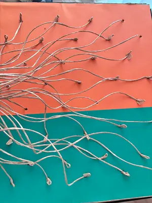 ノリアホーム　見学会