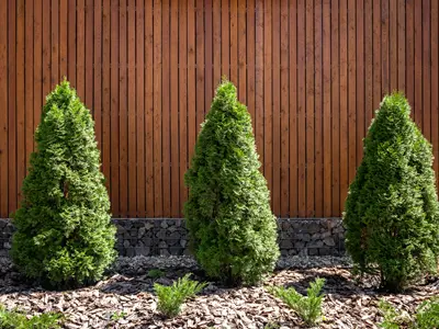 ノリアホーム　フェンス