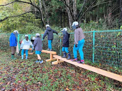 ノリアホーム　平均台