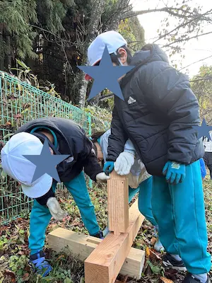 ノリアホーム　平均台 